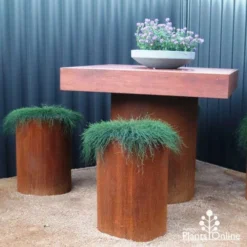 Casuarina Cousin It -Cheap The Aussie Garden Store cousin it stools 1