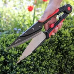 Expert Topiary Shear -Cheap The Aussie Garden Store darlac topiary