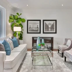 Ficus Lyrata - Fiddle Leaf Fig 17 Ficus Lyrata - Fiddle Leaf Fig -Cheap The Aussie Garden Store fiddle leaf fancy room