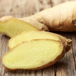 Zingiber - Edible Ginger 12 Zingiber - Edible Ginger -Cheap The Aussie Garden Store ginger root 500 1