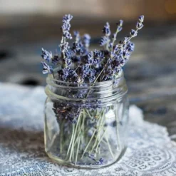 Lavender English Munstead - Seed -Cheap The Aussie Garden Store lavender dried