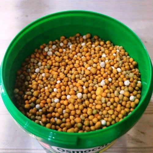 Osmocote 700g Vegetable, Tomato, Herb & Garden Beds Fertiliser 2 Osmocote 700g Vegetable, Tomato, Herb & Garden Beds Fertiliser - Image 2