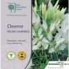 Cleome - Spider Flower - Seed