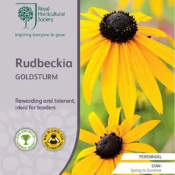 Rudbeckia - Seed -Cheap The Aussie Garden Store rhs rudbeckia