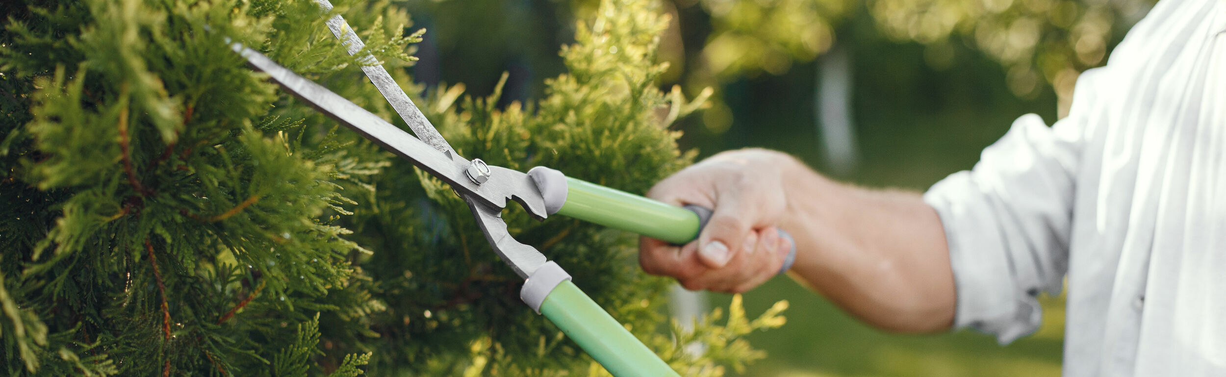 Cheap The Aussie Garden Store -Cheap The Aussie Garden Store tuingereedschap heggenschaar